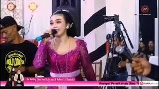 TLINGSINGAN KUMPUL BOLO COKEK MANIA