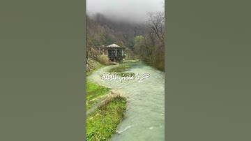 سورةُ فُصلت الآية {30} ، الشيخ [ وديع اليمني ] ، اكتب شيء نؤجر عليه معًا 💌✨. #قرآن #اجر_لي_ولك #ذكر