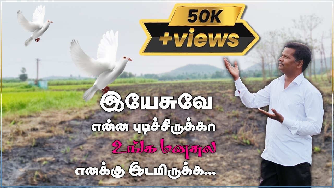 சொந்தங்களுக்கு என்ன பிடிக்கலையே | K. David Sigamani | Tamil Chirstian Song | Paul Immanuel