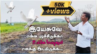 சொந்தங்களுக்கு என்ன பிடிக்கலையே | K. David Sigamani | Tamil Chirstian Song | Paul Immanuel