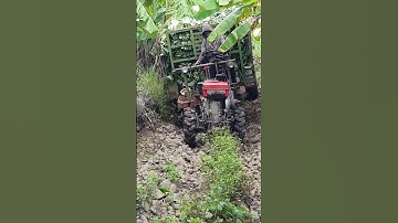 #shorts xe công nông 2 câu xuống dóc chở chuối cuộc sống KIU 81