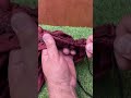 Never struggle again to thread drawstrings in pants #CaliGarage #PantsDrawstring #PracticalTip