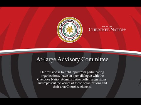 2021 06 22 At large Advisory Committee Meeting