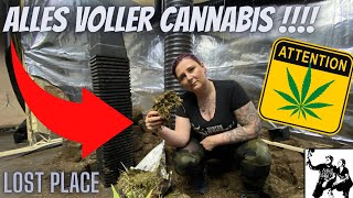 😱Mega Cannabis-Plantage entdeckt😱Hier wurden Drogen im großen Stil angebaut [Lost Place]