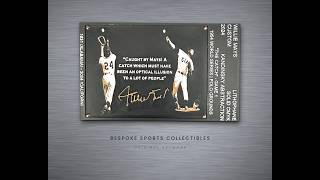 Willie Mays: The Catch