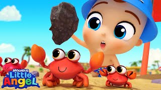 mermaids beach lifeguard job song kids little angel kids