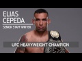 Why Fabricio Werdum was smart to drop out of UFC 196