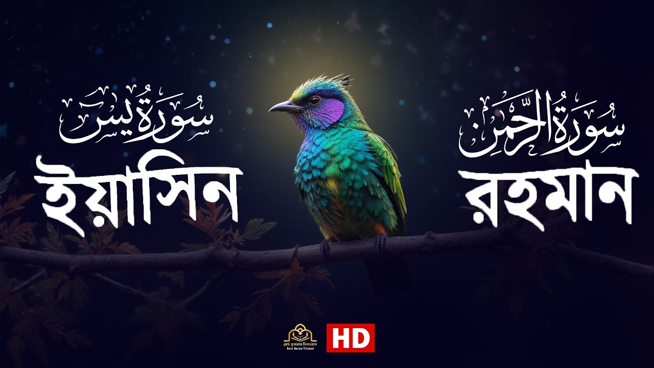 কুরআন তেলাওয়াত ২০২৪ - সূরা ইয়াসিন এবং সূরা রহমান । আলা ইয়াসির । SURAH YASIN AND AR RAHMAN RECITATION