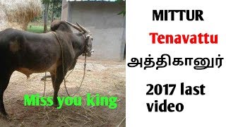 Mittur Tenavattu King