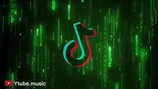 DJ DI DUNIA INI TENANG AJA X PAPALI DJ MBON MBON || TIK TOK