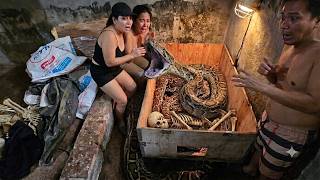 Giant Python Nest Discovered in a Farm – A Dramatic Rescue Begins!