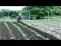 mini cultivadora ( demostración)