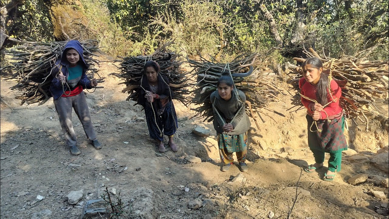 काफी दिन बाद गए जंगल लकड़ी के लिए 😍😍😍😍😍