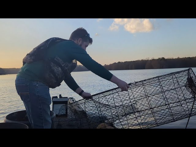 CATFISH WIRE NETS & ALL YOU NEED TO KNOW!!! (Buying BAIT, GEAR, and  Catching BOAT LOADS of FISH) 