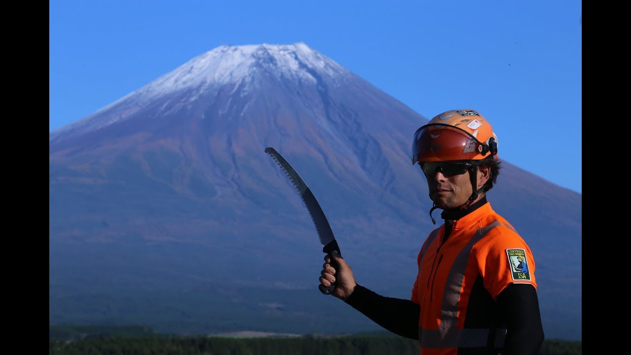 ズバット ZUBAT | 世界一の切れ味を目指して 鋸メーカー シルキー