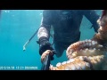 Υποβρύχιο ψάρεμα Ελλάδα χταπόδι 8kg Spearfishing Greece octopus 8kg