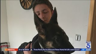 Reseda family fights to keep L.A. Animal Services from removing son's emotional support animal