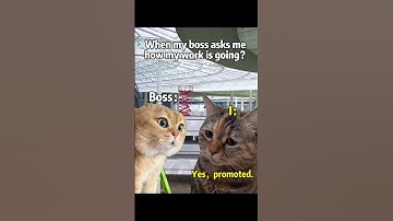 Colorful ETFE Aircushions + Single-laywer ETFE Foil + PTFE Tensile Membrane Structure  #construction