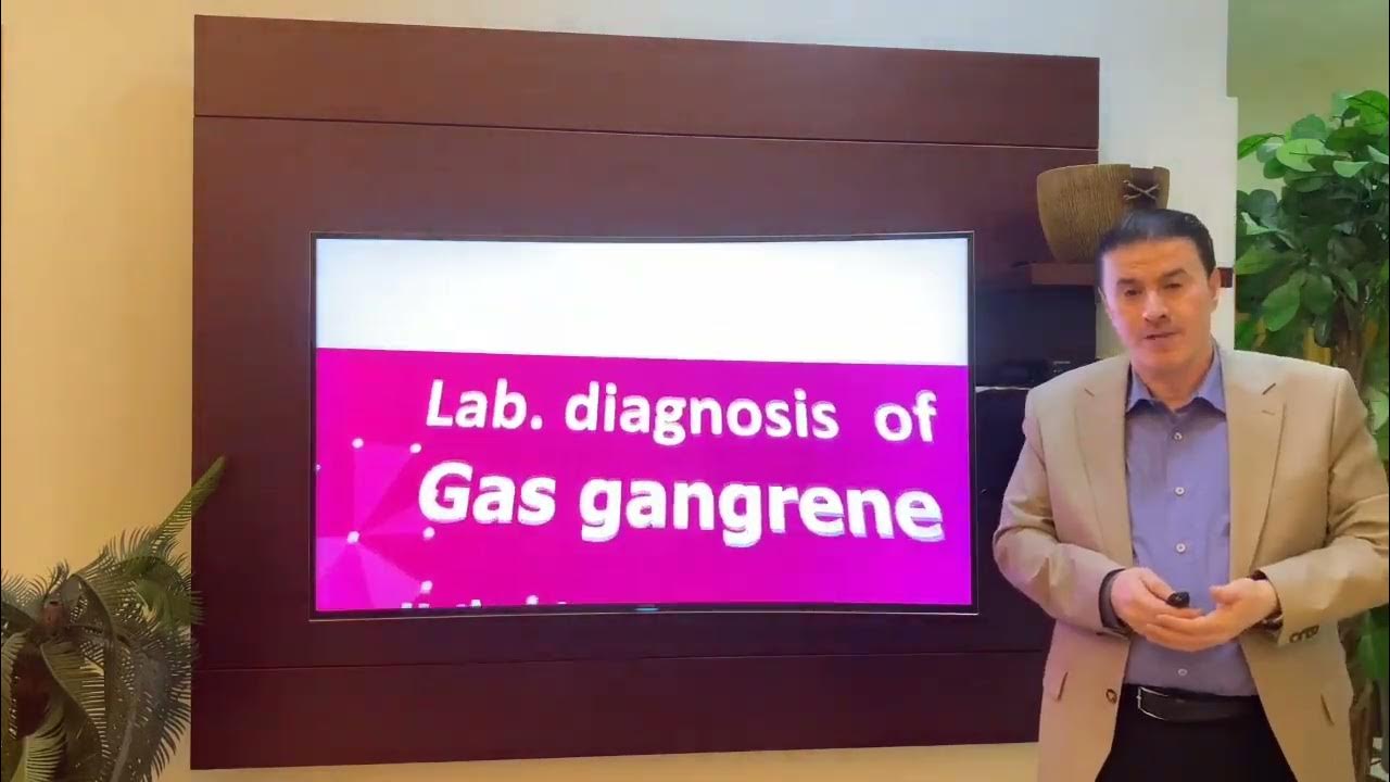 19 (56) Gas gangrene Lab. diagnosis YouTube