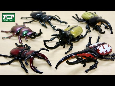 アニアキングダムに昆虫 ヘラクレスオオカブトが出た アニア 2023年7月 AS昆虫シリーズ ゴホンヅノカブト ニジイロクワガタ ノコギリクワガタ