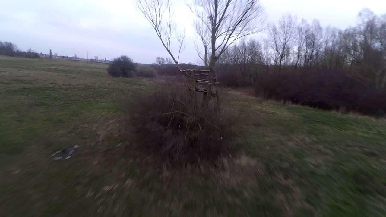 LS210 - Through the tree (short)