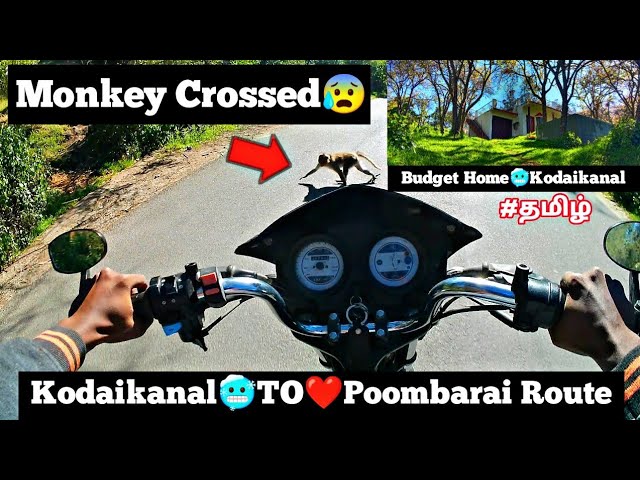 we Sliped 😥 Monkey 🐒 inside wheel 😰|Budget 🏠 Homes| Kodaikanal 🥶|#kodaikanal #poombarai #treanding