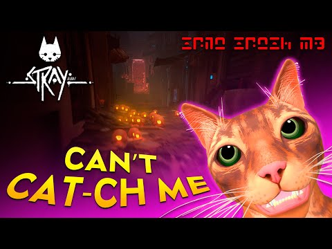 [Achievement Hunter] Can't Cat-ch Me Trophy | Stray