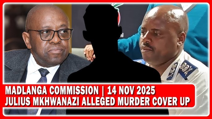 Witness D End Evidence To Madlanga Commission Of Julius Mkhwanazi Alleged Murder Cover Up