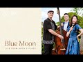 Blue Moon (Live from Andy's place)