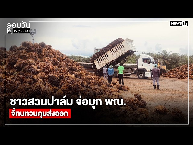 ชาวสวนปาล์ม จ่อบุก พณ.จี้ทบทวนคุมส่งออก : รอบวันทันเหตุการณ์ 17.00 น./ วันที่ 17 เม.ย.69