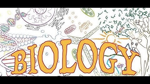 Hướng dẫn học sinh vào lớp học classroom google