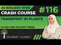 Xylem And Phloem Tissue | Transport in Plants | 9700 AS Biology Urdu/Hindi