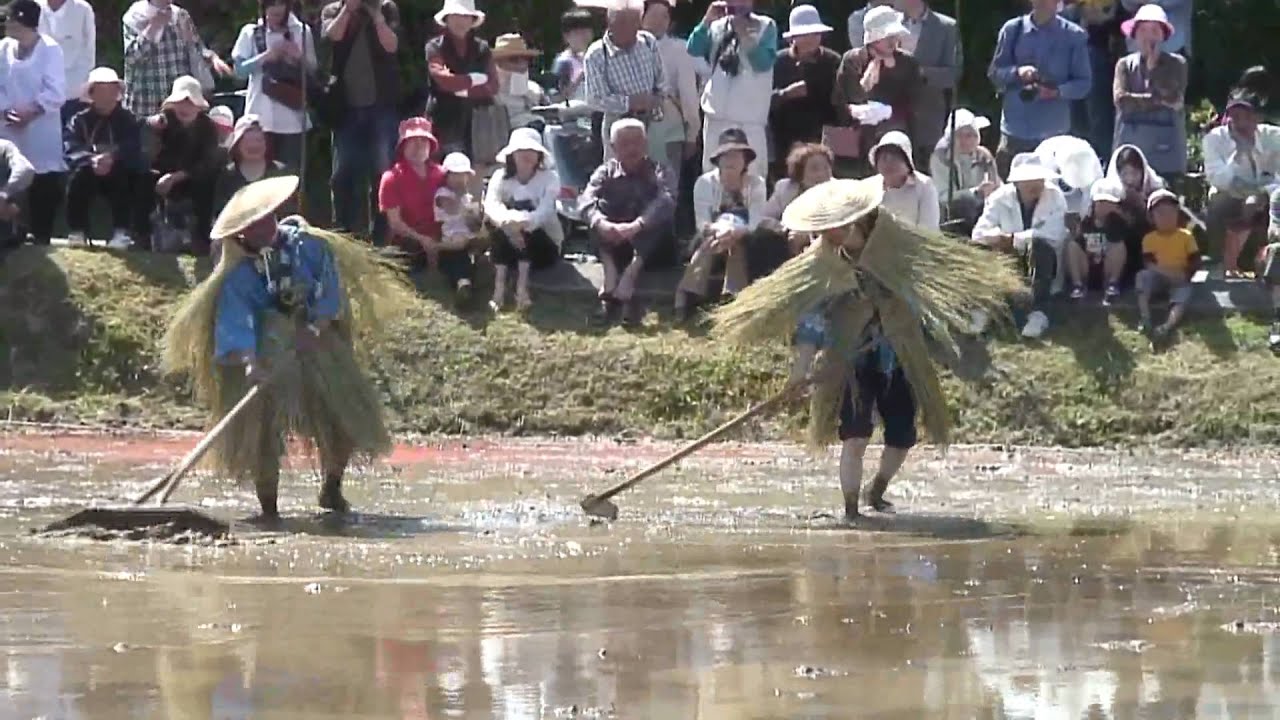 水上花田植え.wmv