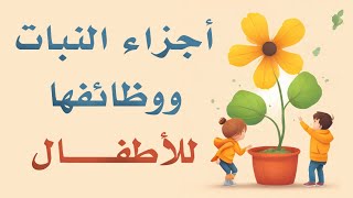 درس اجزاء النبات ووظائفها | علوم | انا النبات | parts of plants | أغنية