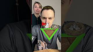 Запустим птичку #boardgames #игры #challenge #настольныеигры #games
