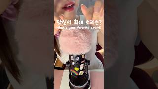 #asmr 11개 중에 제일 좋은 소리는?