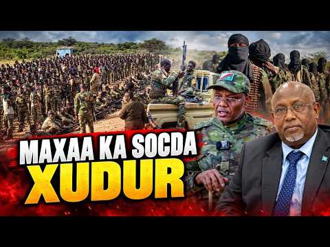 DEG DEG: DFS OO GULUF DAGAAL KA BILOWDAY BAKOOL & CIIDAN BADAN OO LAGU DIYAARIYAY XUDUR...