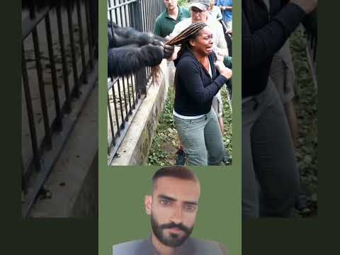 الغوريلا خلف القضبان والمرأة أمام الذهول ش عر عالق بين عالمين ومقص أنقذ روح اوأعاد السكون للمشهد 