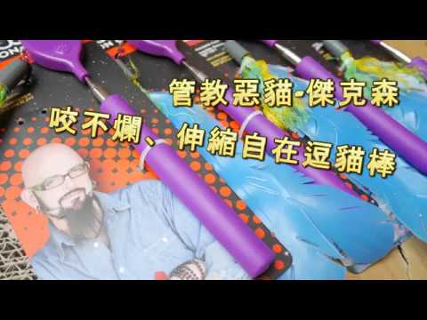 [橘圓貓] 傑克森羽毛逗貓棒