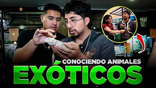 EXPLORANDO EL MUNDO DE LOS ANIMALES EXÓTICOS😱🔥 | FT KAREN PANIAGUA Y LUIANSTREAM
