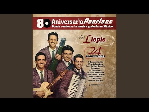 Estremecete - All shook up