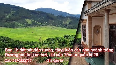 Đất Gung Ré, đất Di Linh, Bán 1h đất sát ruộng nở hậu tặng căn nhà to bự, Lâm Đồng, Viet Nam #13