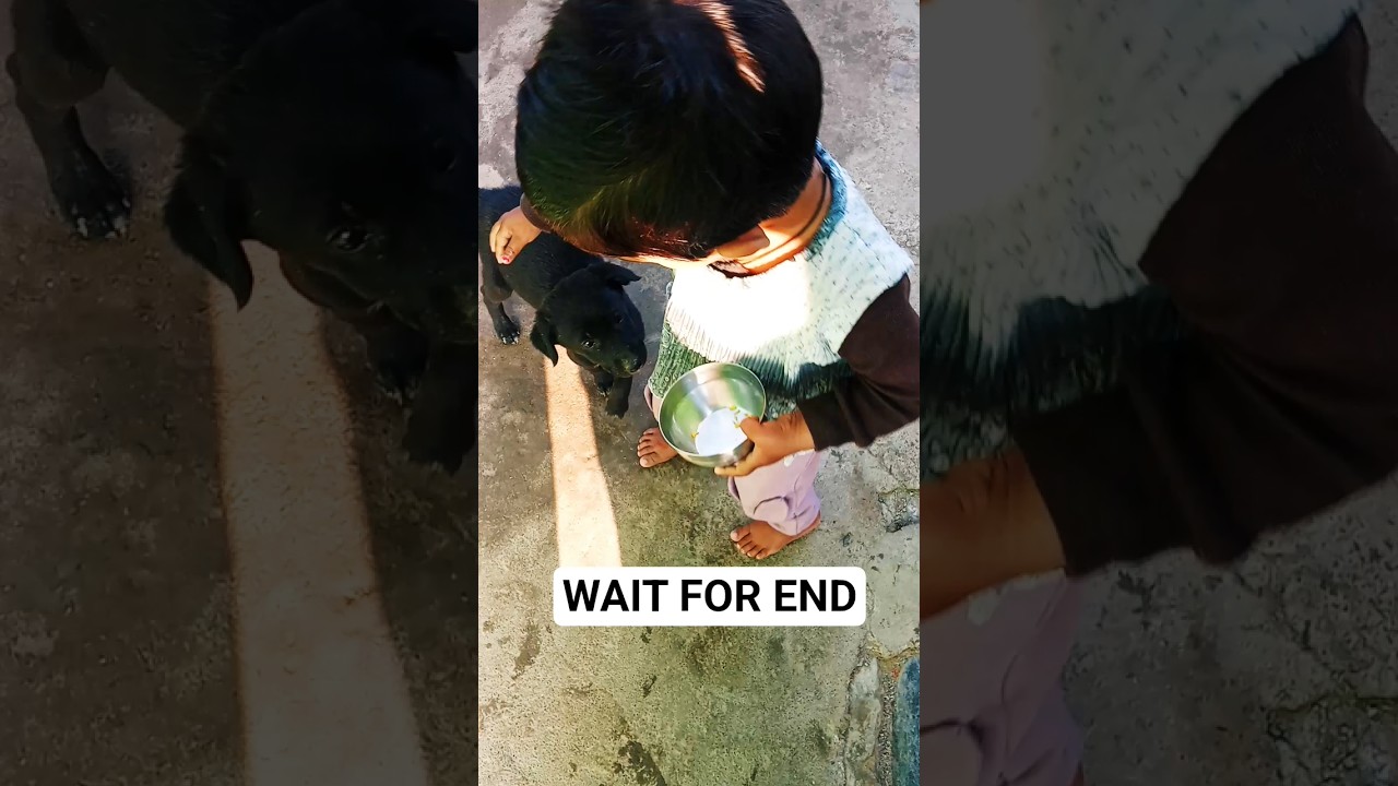 OMG😱😱 | जब Dog Puppy मिला Cute Baby Girl से 🥹💖 | Adorable Moment 