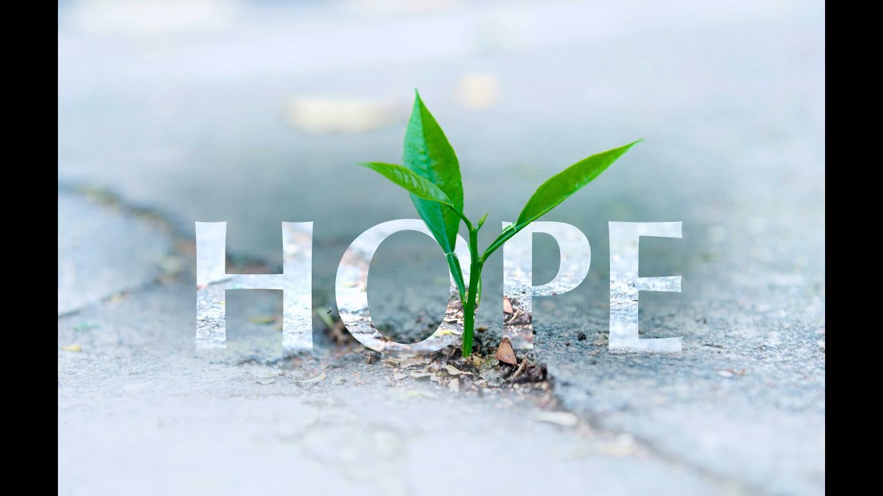 Unrequited Love  A Tale of Desire and denial