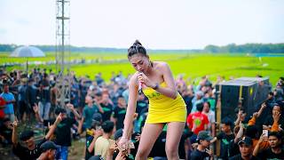 LALUNA MUSIC - ELANG BUNGA PERMATA - HAPPY PARTY GANDJA COMMUNITY - JETAK PUCAKWANGI