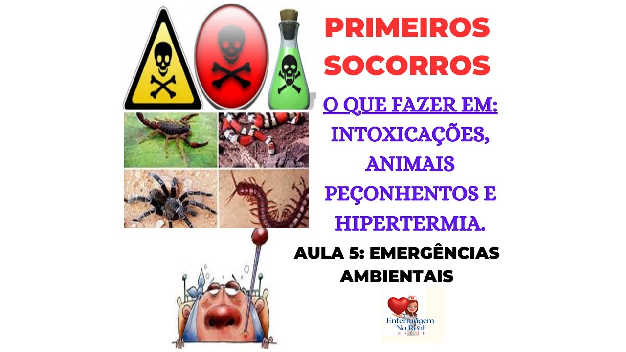 PRIMEIROS SOCORROS - AULA 5 - EMERGÊNCIAS AMBIENTAIS: INTOXICAÇÕES, ANIMAIS PEÇONHENTOS E MUITO MAIS
