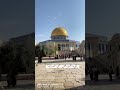 الفيديو كامل على قناة اليوتيوب Abed M Jaafreh القدس المسجد الاقصى قبة الصخرة المشرفة 