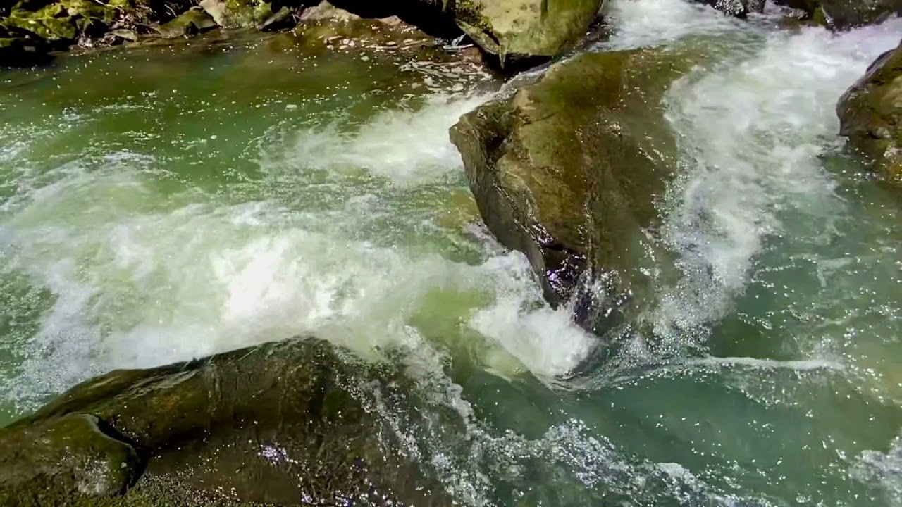 ANTLER SHELL - TRAILHEAD