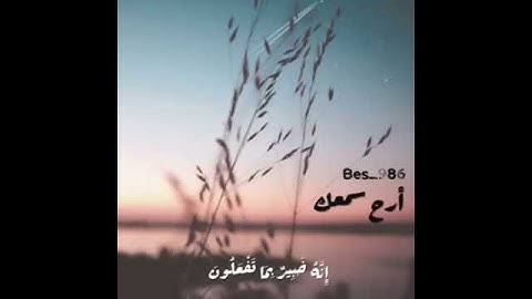 القارئ: عبدالله_الموسى
