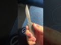 Microtech Mini Hera II #microtechknives
